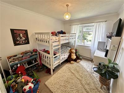 Picture 5